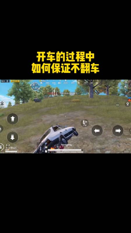 和平精英辅助【DODO】